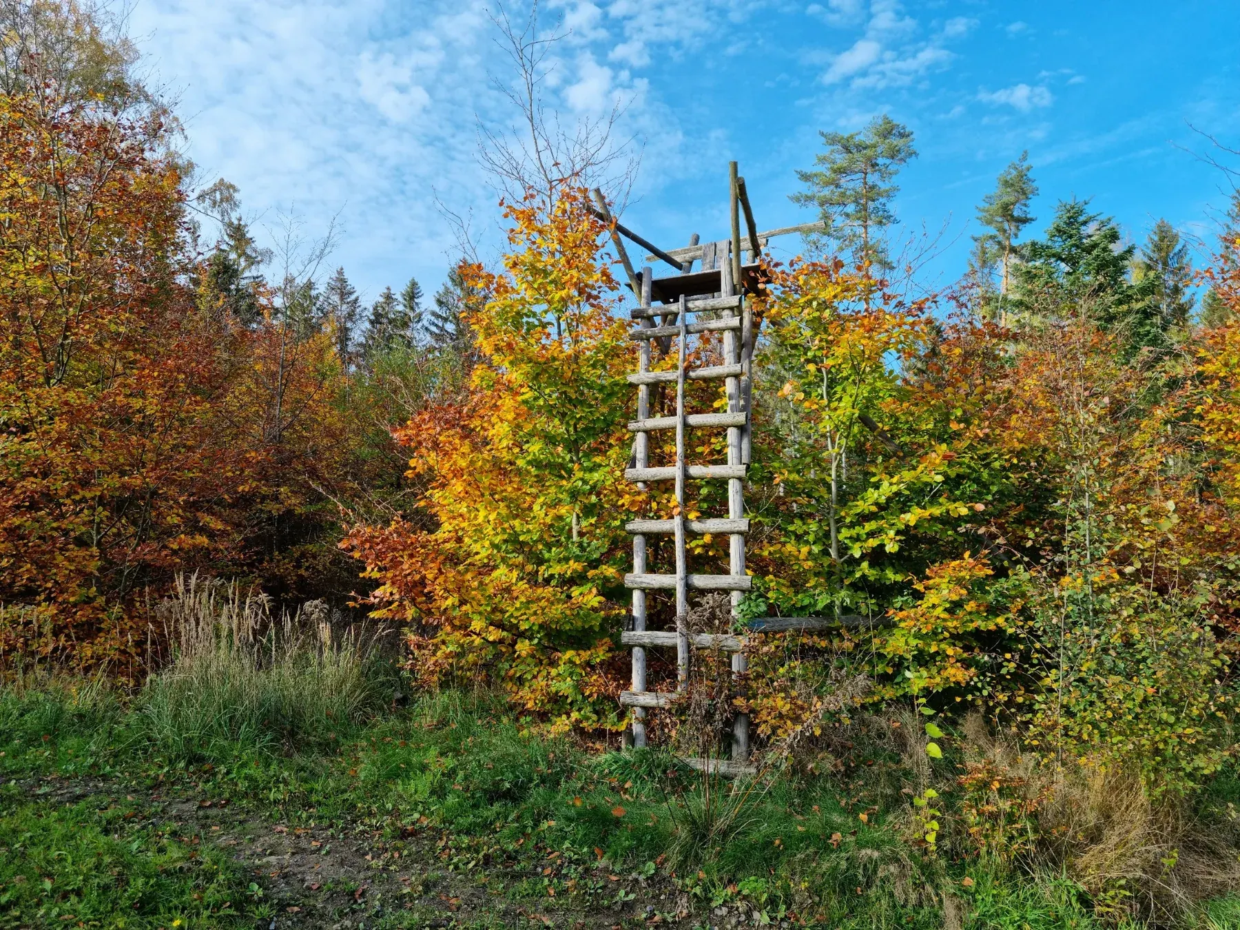Lehrrevier und Hochsitz