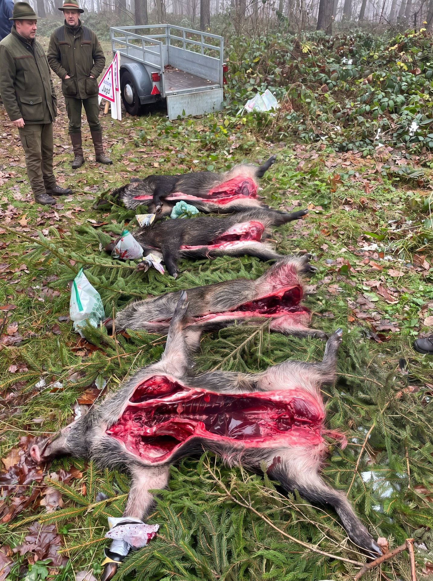 Praktische Lehrsituation im Revier mit erlegtem Wild