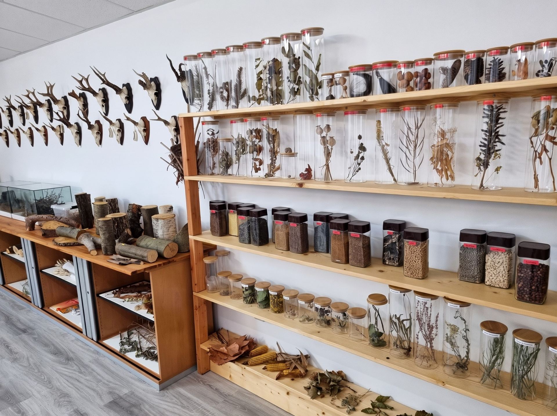 Anschauliches Lehrmaterial zur Natur- und Wildkunde