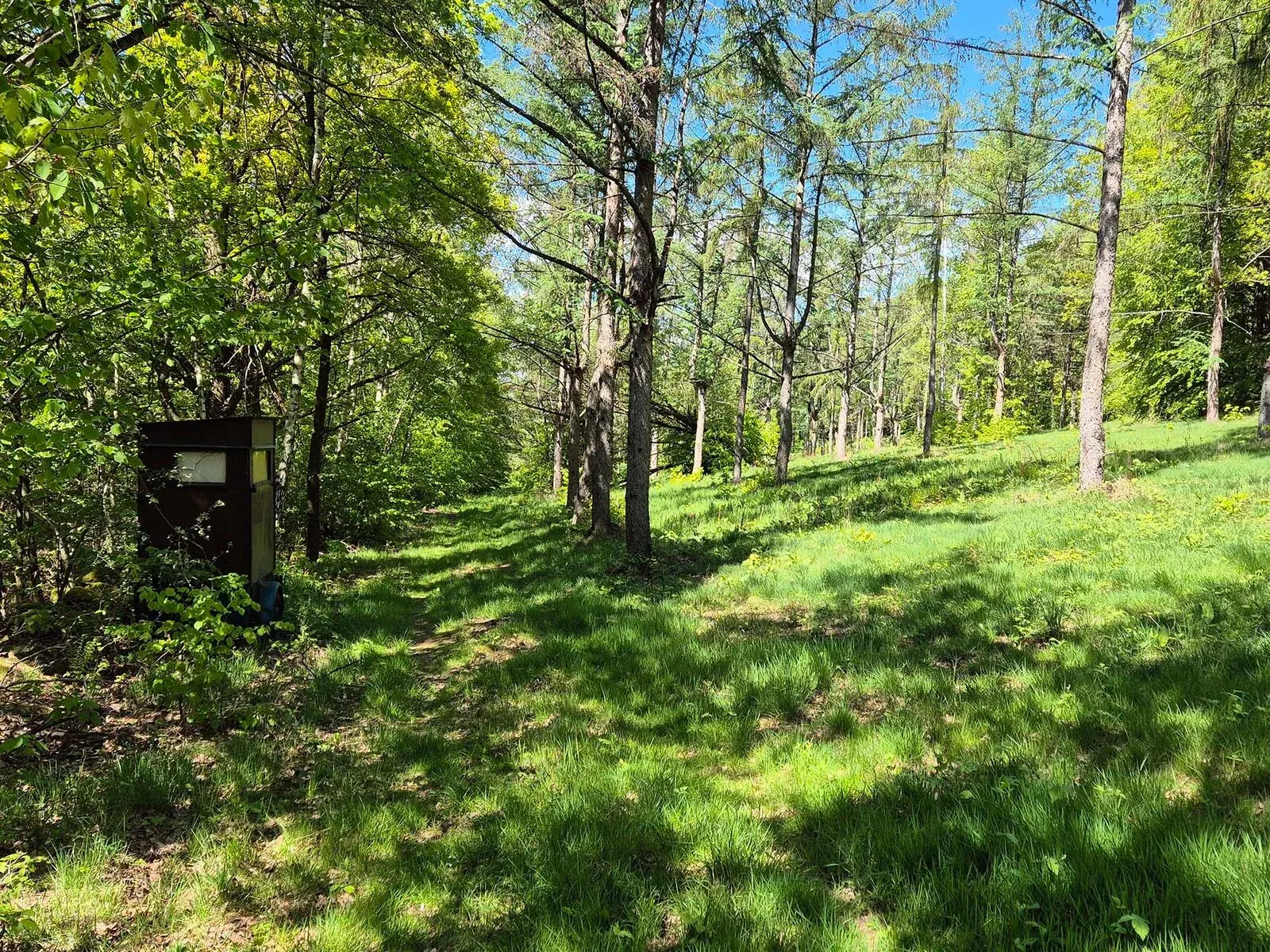 Ansitz an einer Wiese im Wald