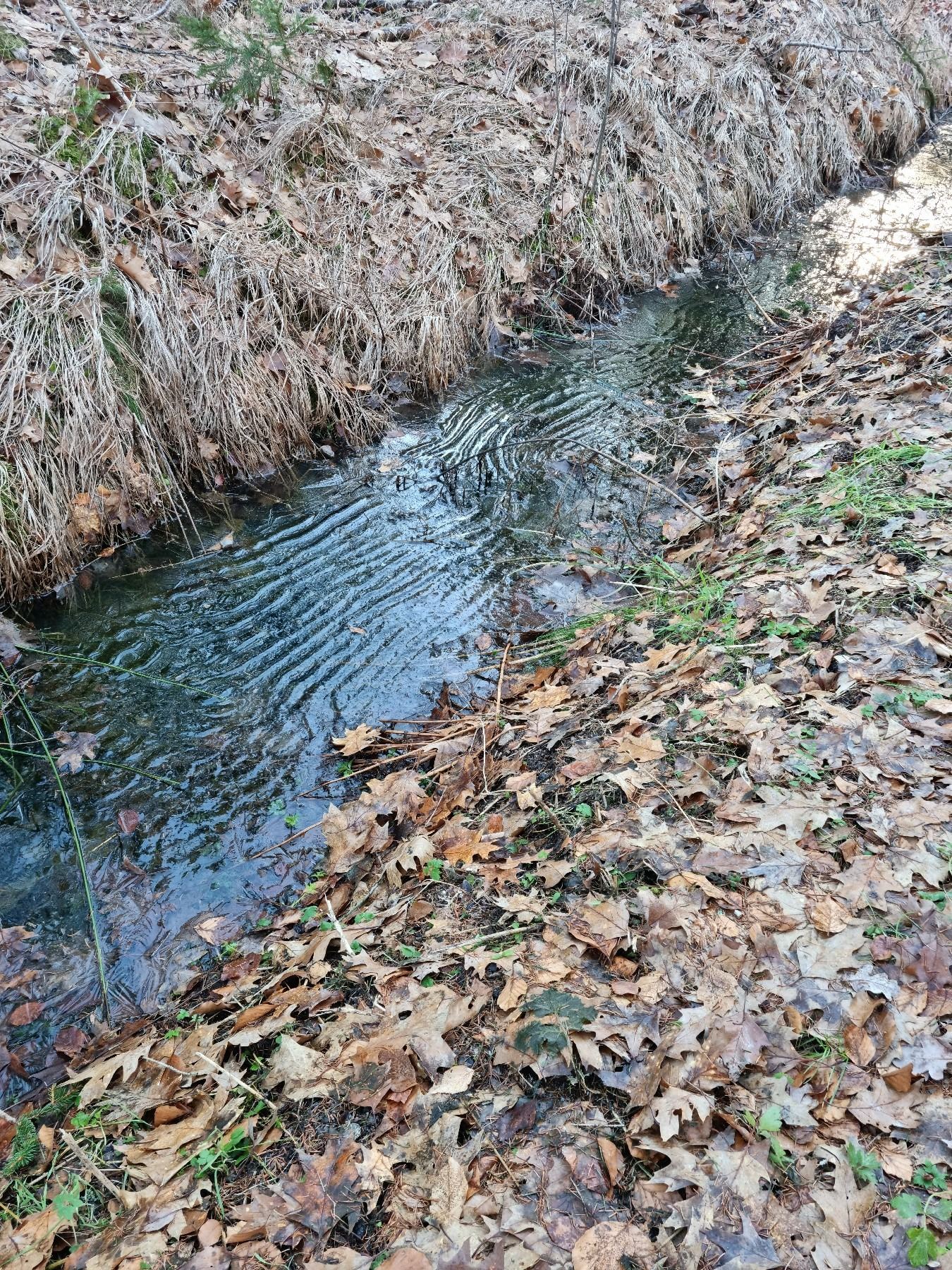 Kleiner Bachlauf im winterlichen Revier