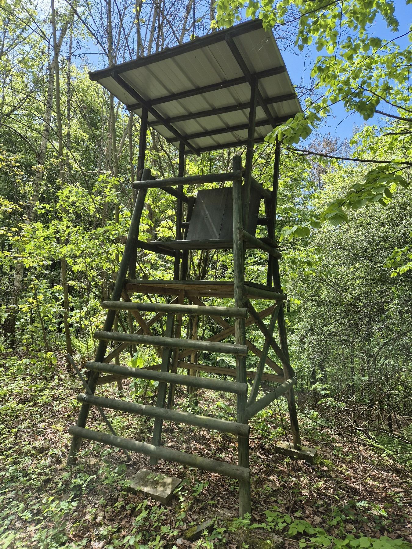 Hochsitz im Wald