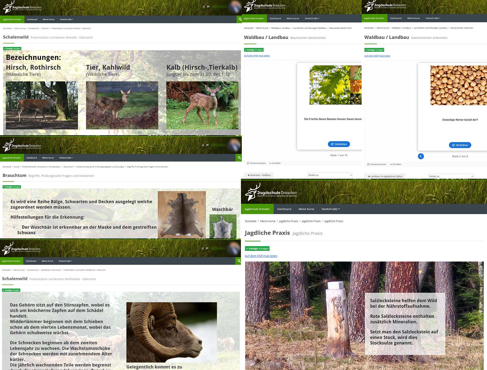 Einblick in das digitale Lernsystem – vergrößerte Ansicht
